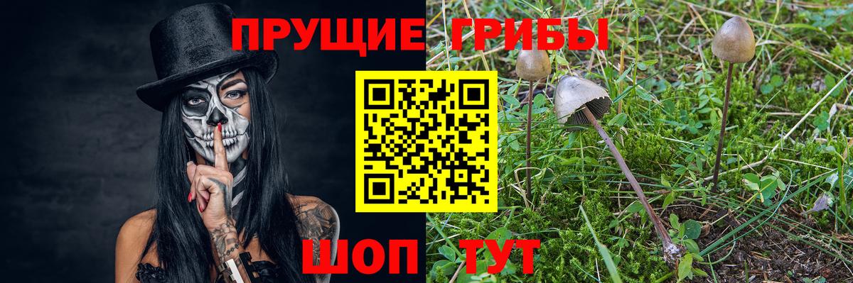 Ярославль  Псилоцибиновые грибы Magic Shrooms  Вход с VPN 